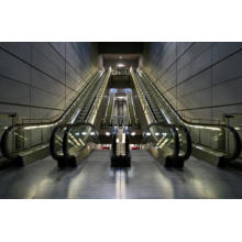 Escalator, Moving Passenger Lift